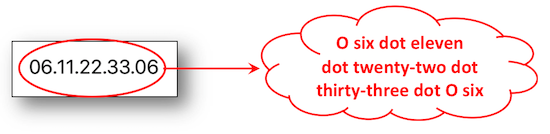 default vocalization is not valid for the following phone number : 06.11.22.33.06